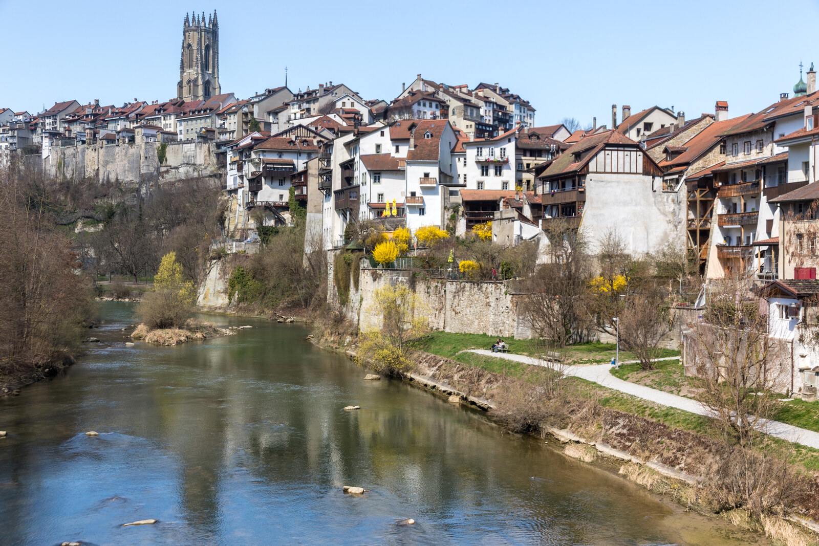 Fribourg - Cout d'une urgence dentaire en Suisse