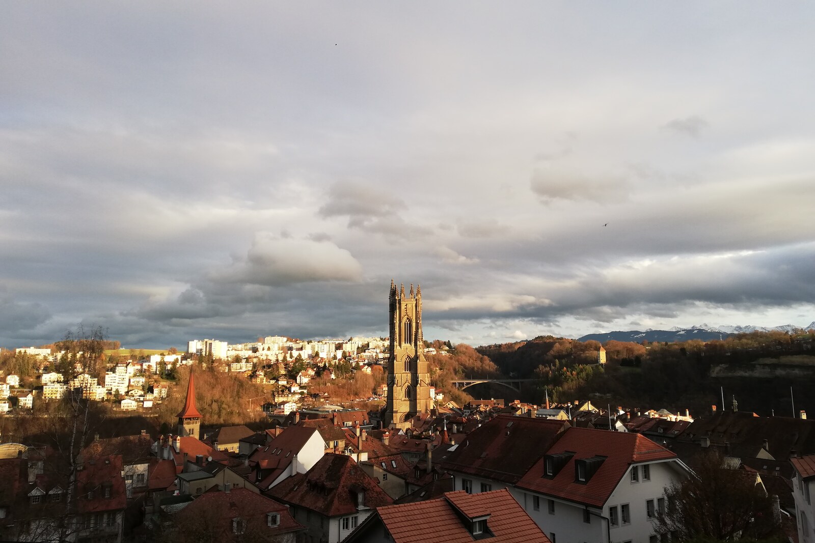 Vue de Fribourg - Guide du dentiste d'urgence