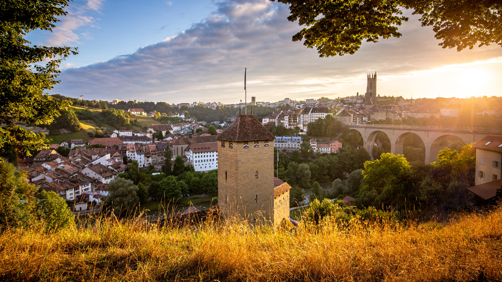 Rage de Dent la Nuit : Comment Soulager et Urgences a Fribourg